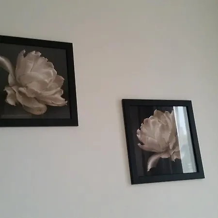 Vasiliko Appartement *