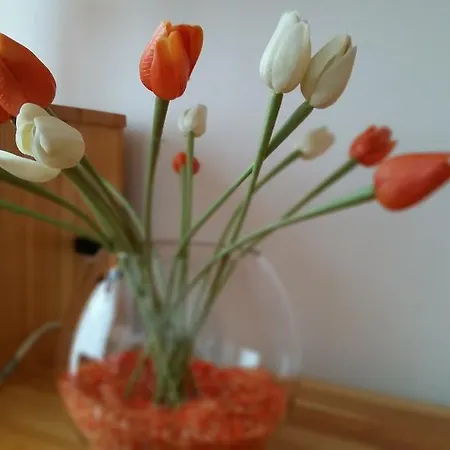 Appartement Vasiliko
